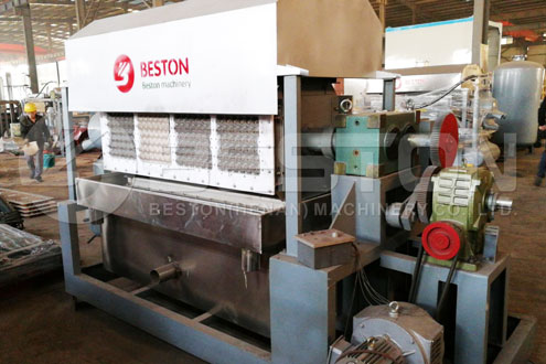 Paper Egg Tray Equipment for Sale