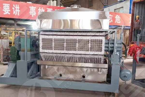 Efficient Egg Tray Maker Machine