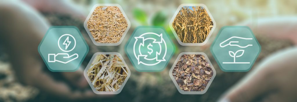 Potential of Agricultural Waste Biomass Pyrolysis Project in Colombia